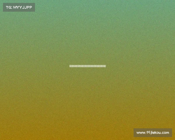 英超意甲等多家俱乐部关注柏林联合后卫多克希转会动向